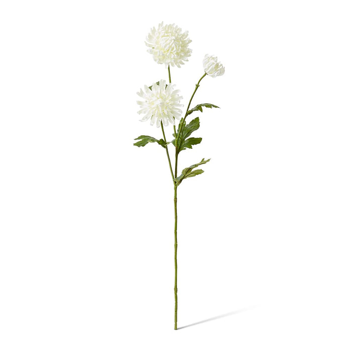 Chrysanthemum Spray Pack of 12 - White, 64cm (H)