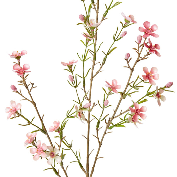 Wax Flower Spray Pack of 12 - Pink, 79cm (H)