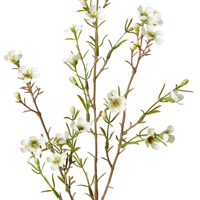 Wax Flower Spray Pack of 12 - White, 79cm (H)