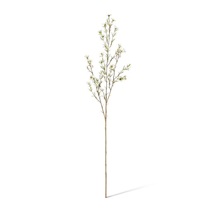 Wax Flower Spray Pack of 12 - White, 79cm (H)