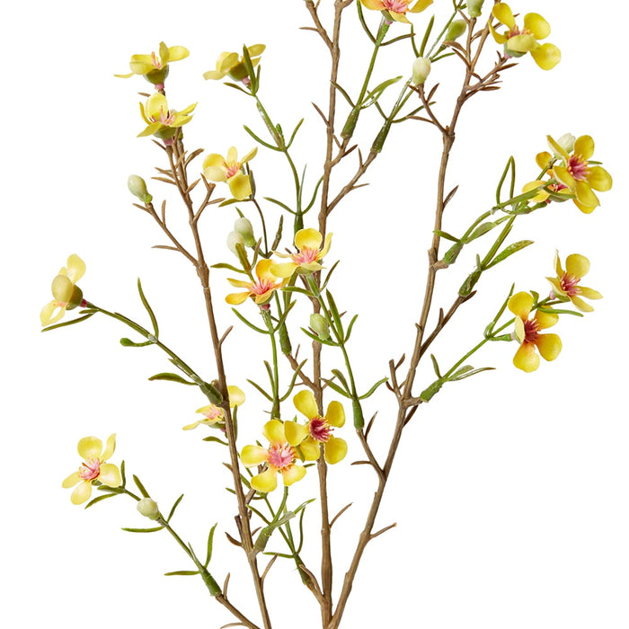 *Wax Flower Spray Pack of 12 - Yellow, 79cm (H)