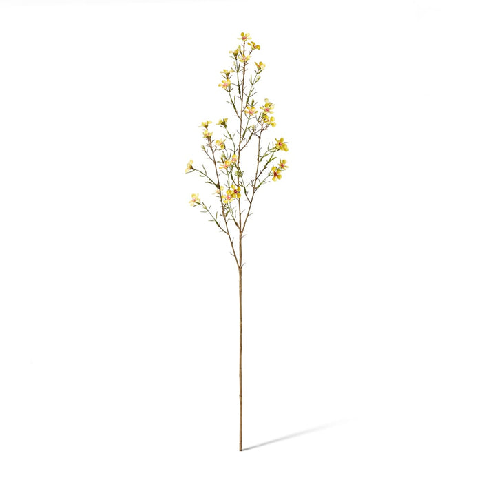 *Wax Flower Spray Pack of 12 - Yellow, 79cm (H)