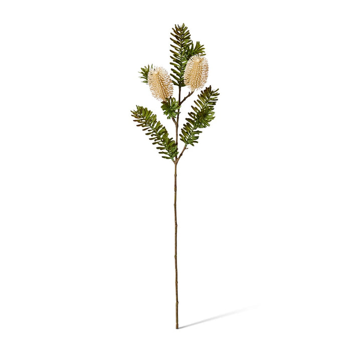 Banksia Spray Pack of 12 - Beige, 66cm (H)