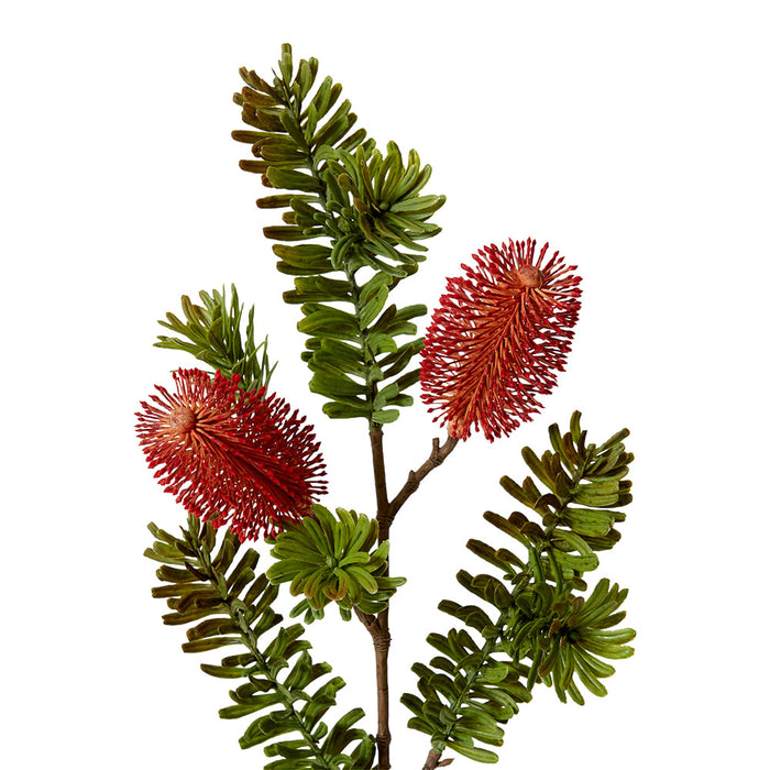 Banksia Spray Pack of 12 - Red, 66cm (H)