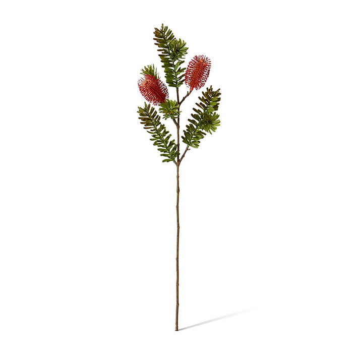 Banksia Spray Pack of 12 - Red, 66cm (H)