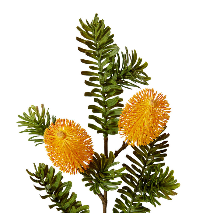 Banksia Spray Pack of 12 - Yellow, 66cm (H)