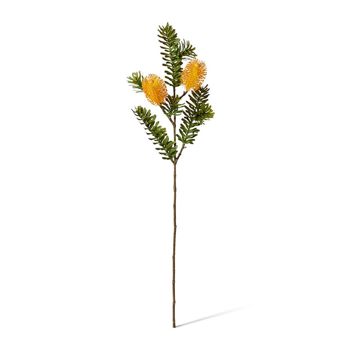 Banksia Spray Pack of 12 - Yellow, 66cm (H)