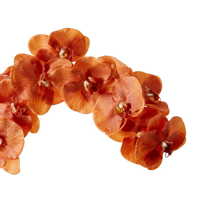 Phalaenopsis Orchid Stem Pack of 12 - Rust, 112cm (H)