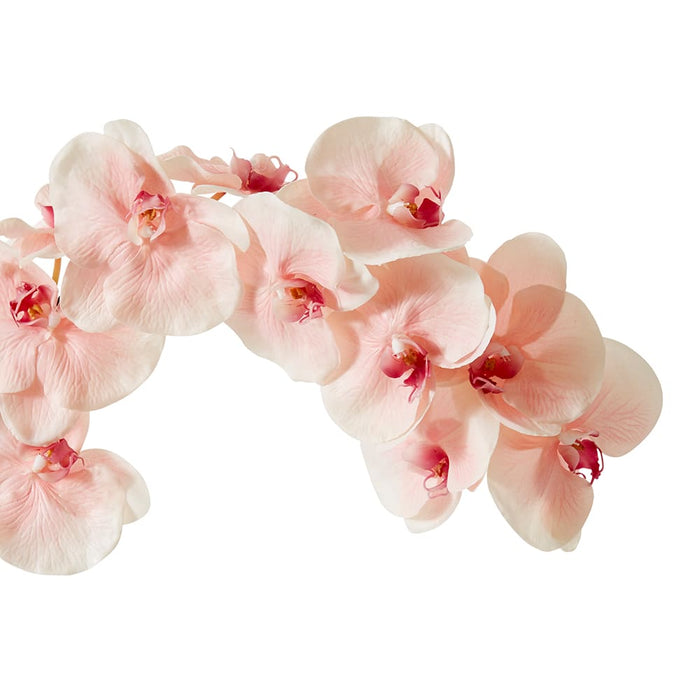 Phalaenopsis Orchid Stem Pack of 12 - Soft Pink, 112cm (H)