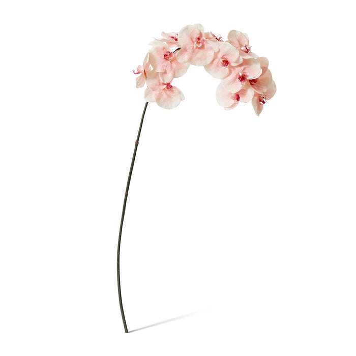 Phalaenopsis Orchid Stem Pack of 12 - Soft Pink, 112cm (H)
