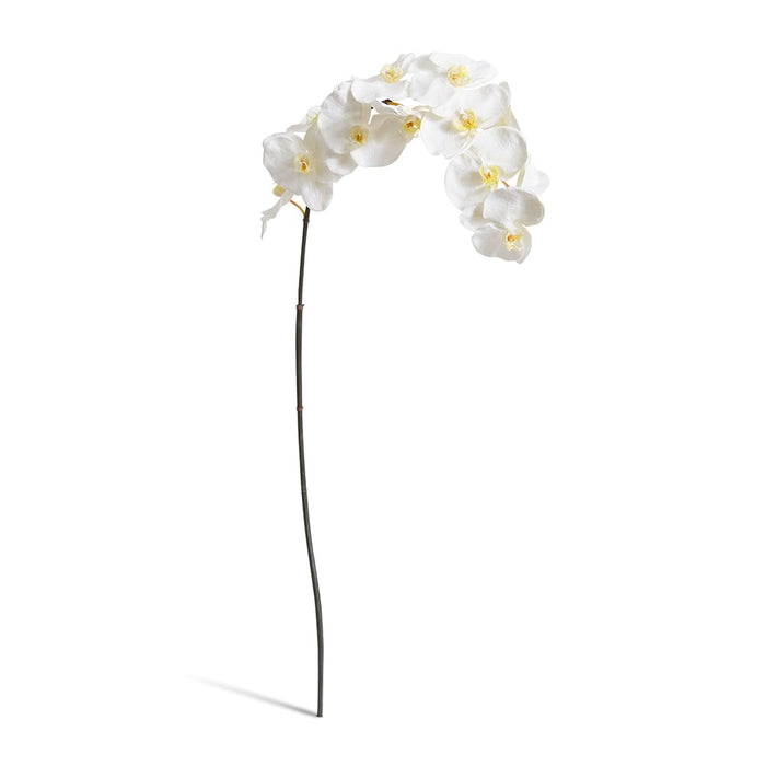 Phalaenopsis Orchid Stem Pack of 12 - Yellow/White, 112cm (H)