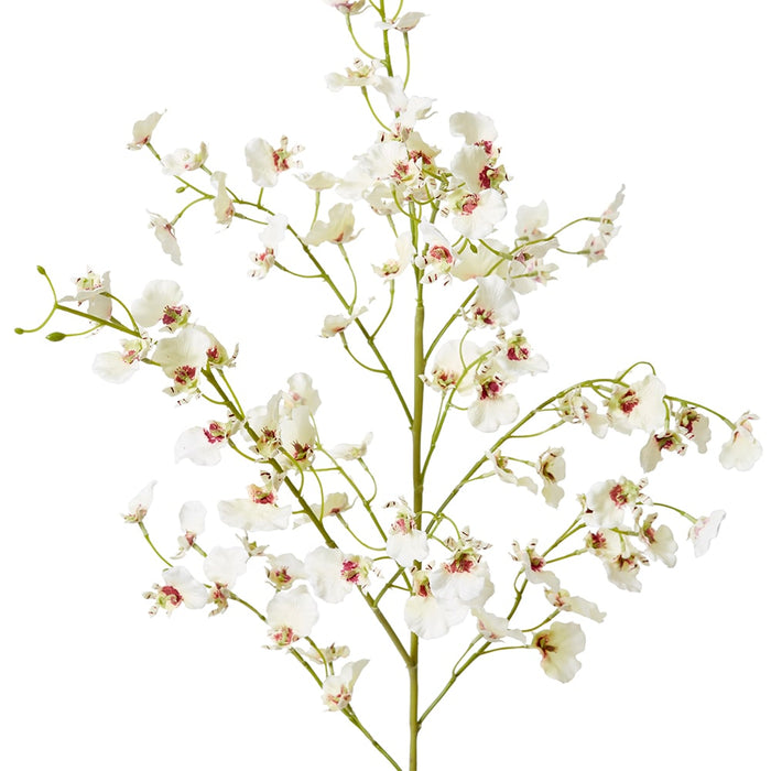 Orchid Dancing Spray Pack of 12 - White, 102cm (H)