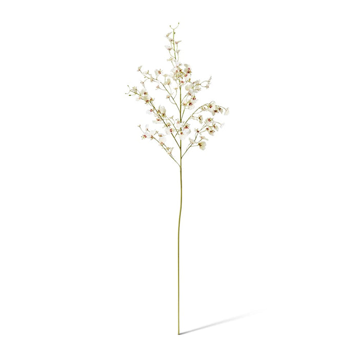 Orchid Dancing Spray Pack of 12 - White, 102cm (H)