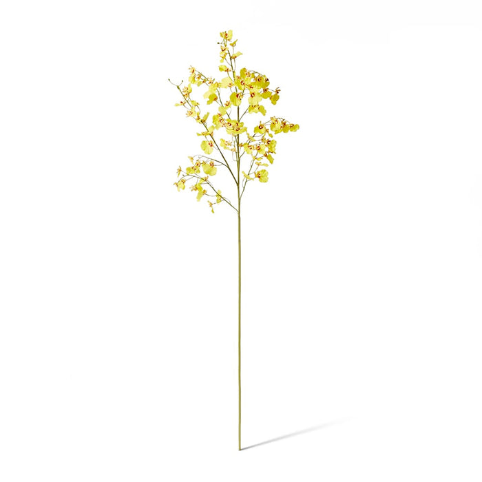 Orchid Dancing Spray Pack of 12 - Yellow, 102cm (H)