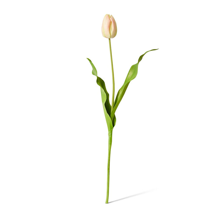 Tulip Dutch Stem Pack of 12 - Pink/Green, 57cm (H)