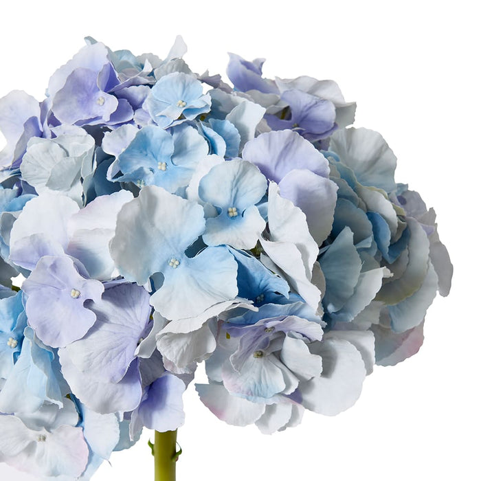 Hydrangea Stem Pack of 6 - Blue, 53cm (H)