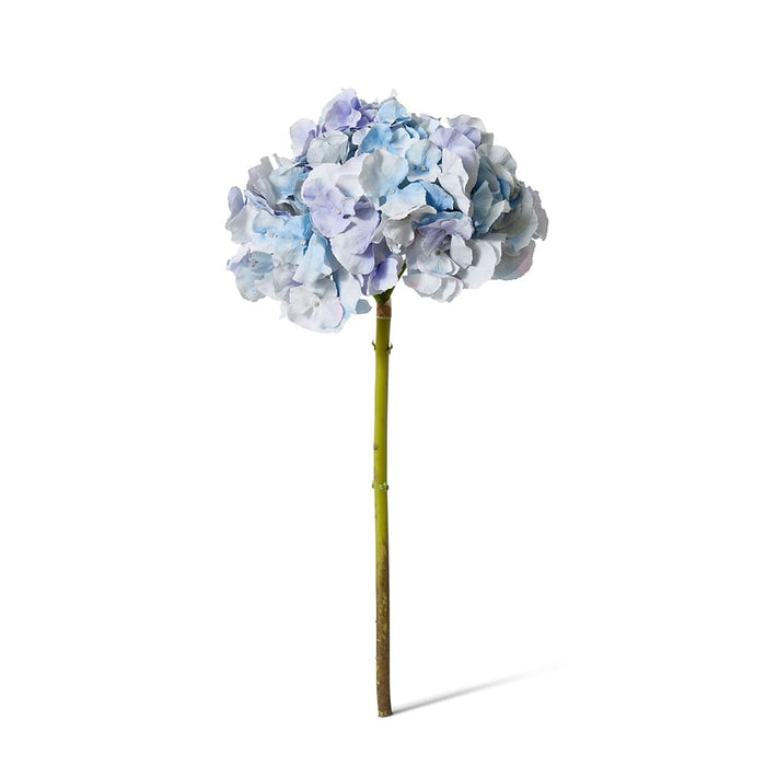 Hydrangea Stem Pack of 6 - Blue, 53cm (H)