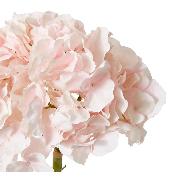 Hydrangea Stem Pack of 6 - Pink, 53cm (H)