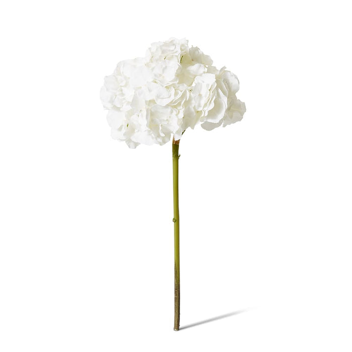 Hydrangea Stem Pack of 6 - White, 53cm (H)