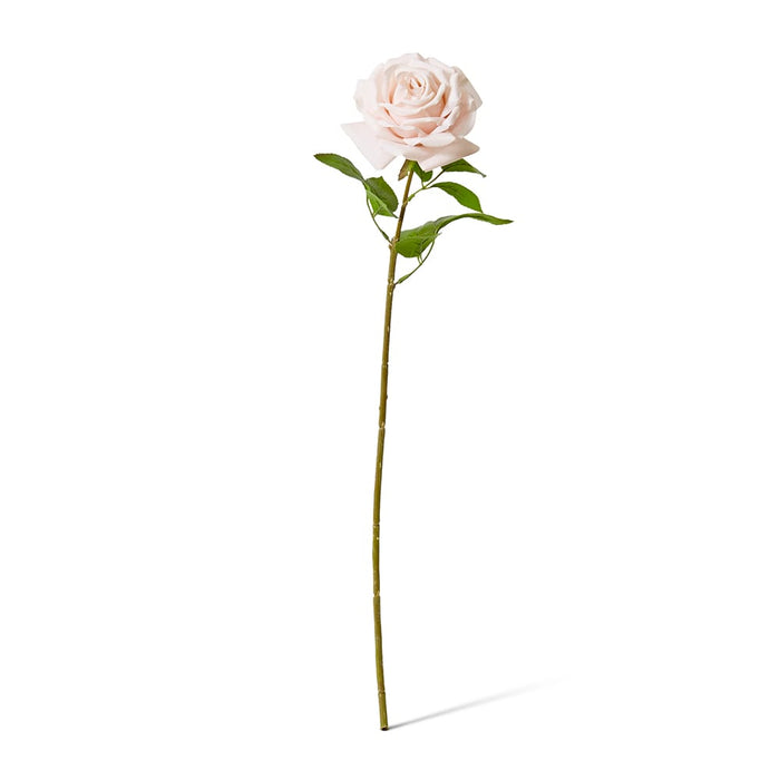 Rose Garden Stem (RT) Pack of 12 - Blush Pink, 66cm (H)