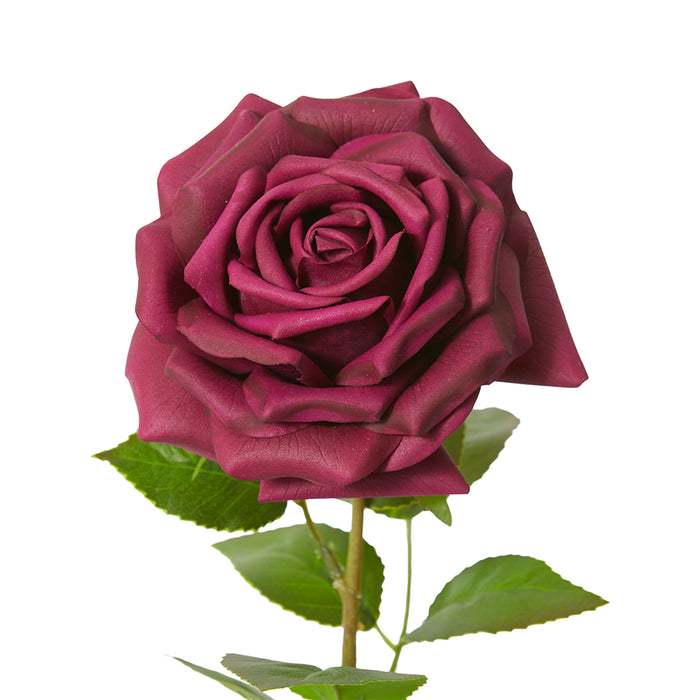 Rose Garden Stem (RT) Pack Of 12 - Burgundy, 66cm (H)