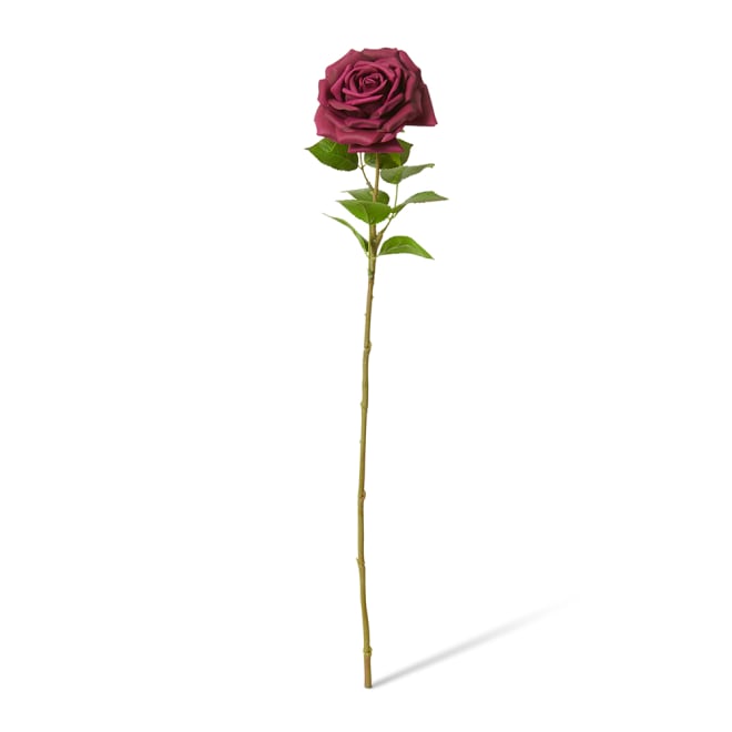 Rose Garden Stem (RT) Pack Of 12 - Burgundy, 66cm (H)