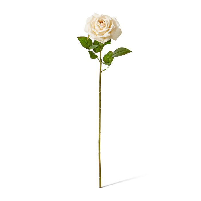 Rose Garden Stem (RT) Pack of 12 - Champagne, 66cm (H)