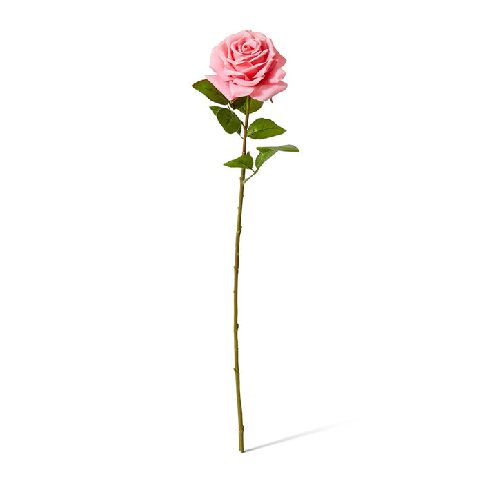 Rose Garden Stem (RT) Pack of 12 - Dark Pink, 66cm (H)