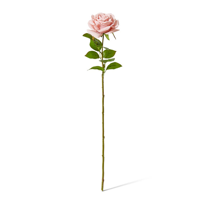 Rose Garden Stem (RT) Pack of 12 - Dusty Pink, 66cm (H)