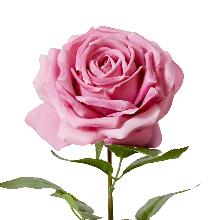 Rose Garden Stem (RT) Pack of 12 - Mauve, 66cm (H)