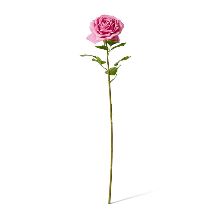 Rose Garden Stem (RT) Pack of 12 - Mauve, 66cm (H)