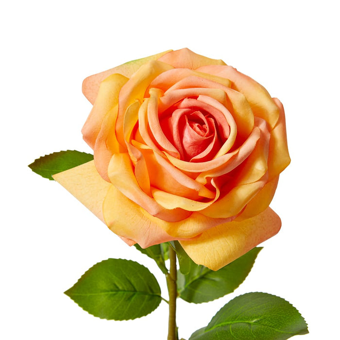 Rose Garden Stem (RT) Pack of 12 - Orange, 66cm (H)
