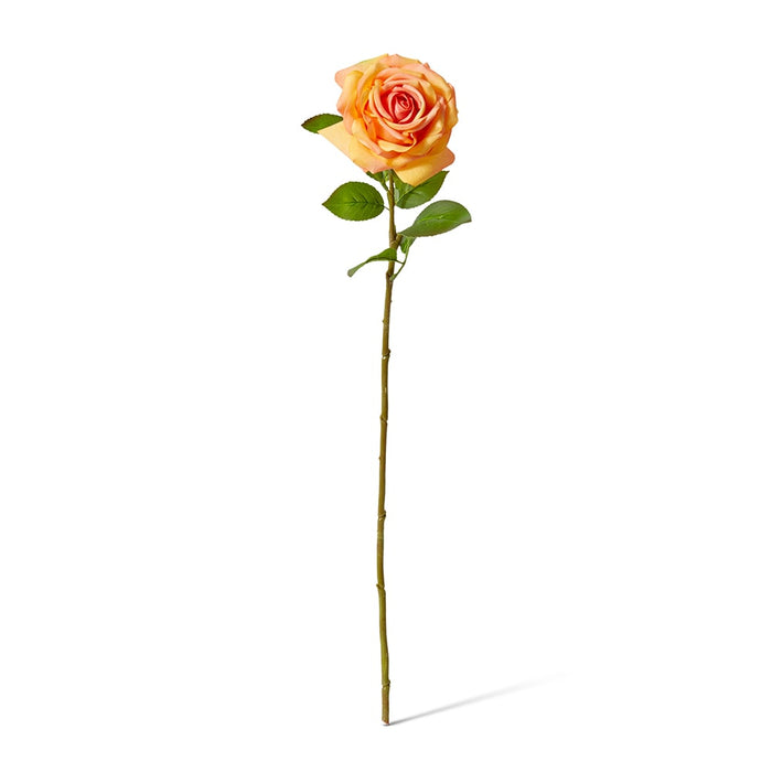 Rose Garden Stem (RT) Pack of 12 - Orange, 66cm (H)