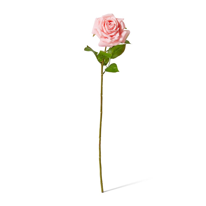 Rose Garden Stem (RT) Pack of 12 - Pink, 66cm (H)