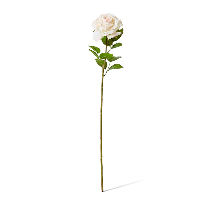 Rose Garden Stem (RT) Pack of 12 - Pink/Cream, 66cm (H)