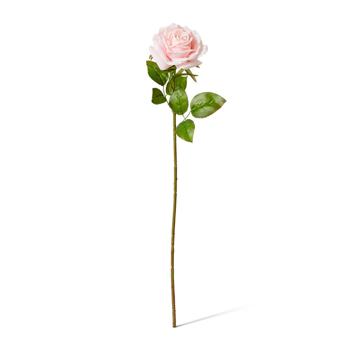 Rose Garden Stem (RT) Pack of 12 - Soft Pink, 66cm (H)