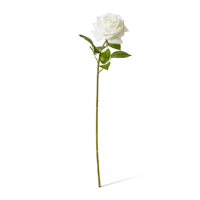 Rose Garden Stem (RT) Pack of 12 - White, 66cm (H)