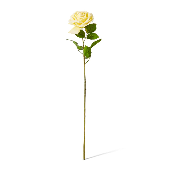 Rose Garden Stem (RT) Pack of 12 - Yellow, 66cm (H)