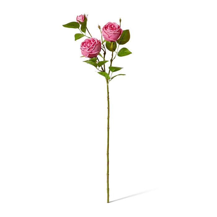Rose Austin Spray (RT) Pack of 12 - Mauve, 78cm (H)
