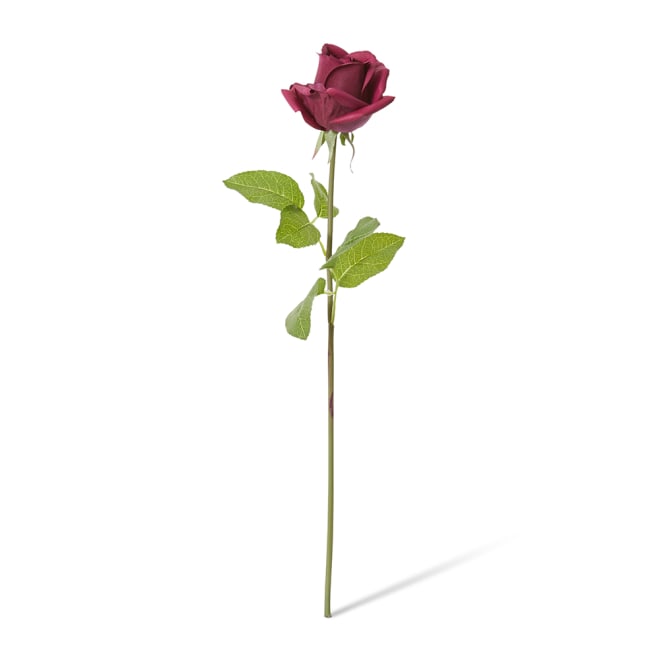 Rose Classic Short Stem (RT) Pack Of 12 - Burgundy, 45cm (H)