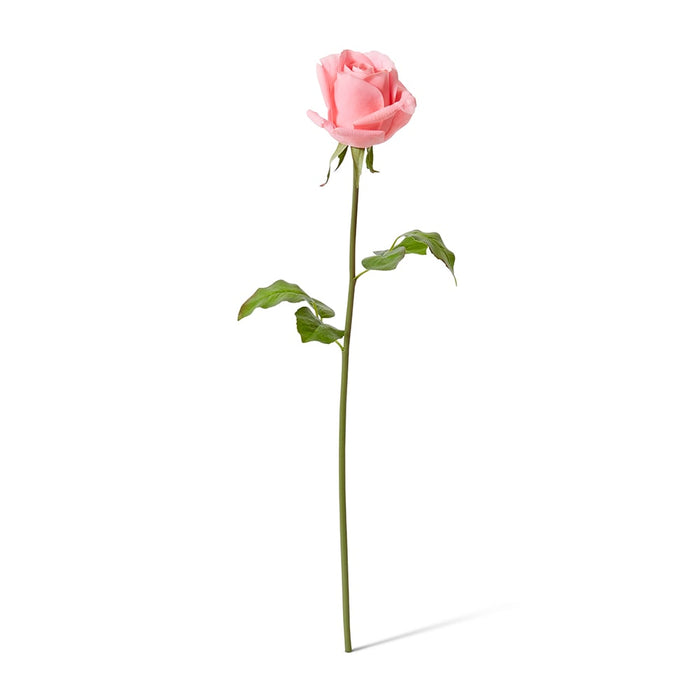 Rose Classic Short Stem (RT) Pack of 12 - Dark Pink, 45cm (H)