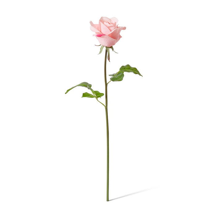 Rose Classic Short Stem (RT) Pack of 12 - Pink, 45cm (H)