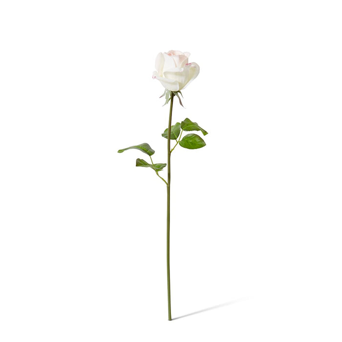 Rose Classic Short Stem (RT) Pack of 12 - Pink/Cream, 45cm (H)