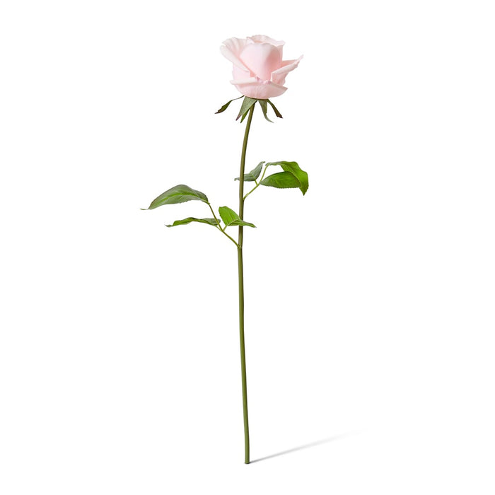 Rose Classic Short Stem (RT) Pack of 12 - Soft Pink, 45cm (H)