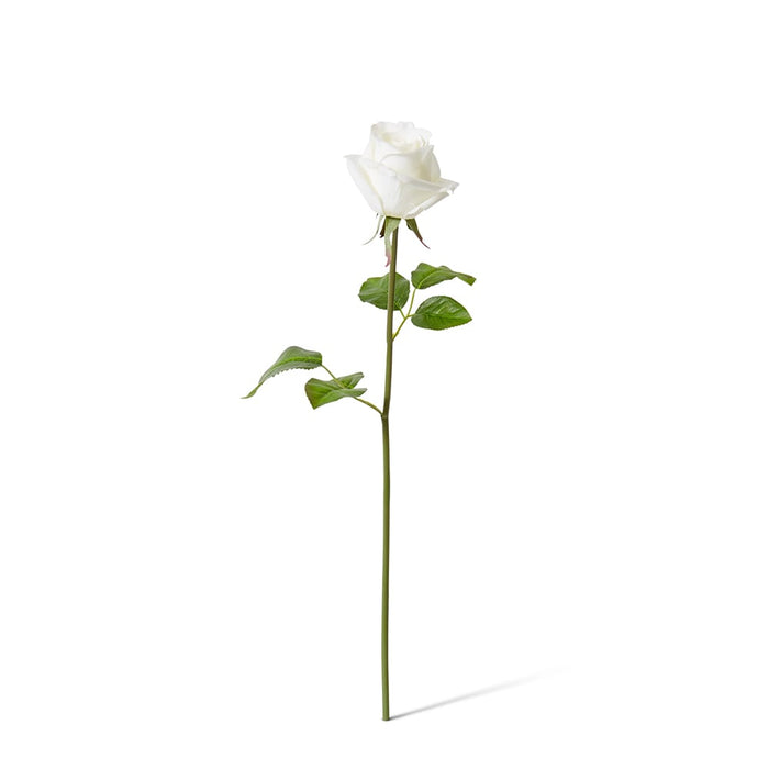 Rose Classic Short Stem (RT) Pack of 12 - White, 45cm (H)