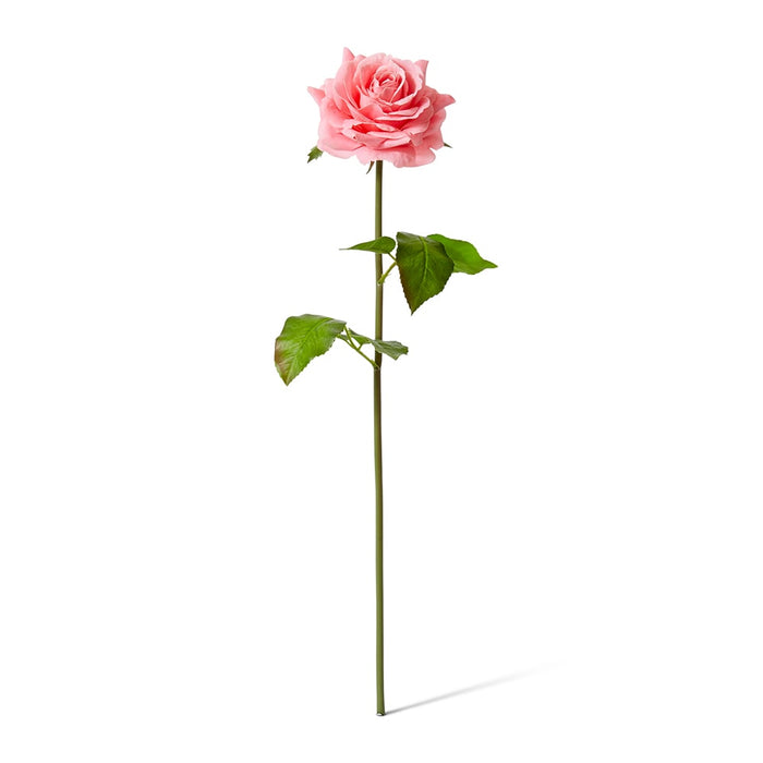 Rose Rambler Short Stem (RT) Pack of 12 - Dark Pink, 45cm (H)