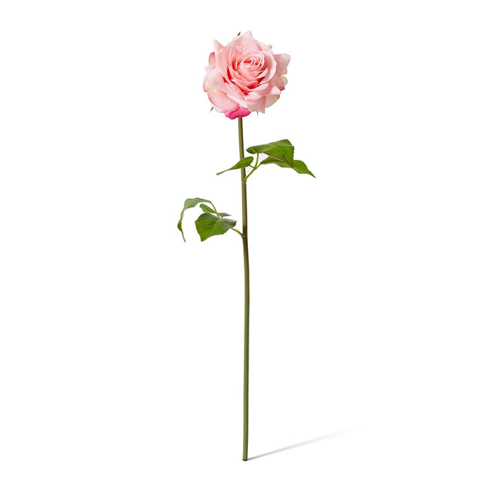 Rose Rambler Short Stem (RT) Pack of 12 - Pink, 45cm (H)
