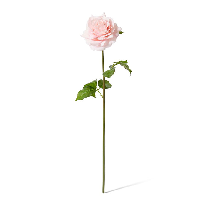Rose Rambler Short Stem (RT) Pack of 12 - Soft Pink, 45cm (H)