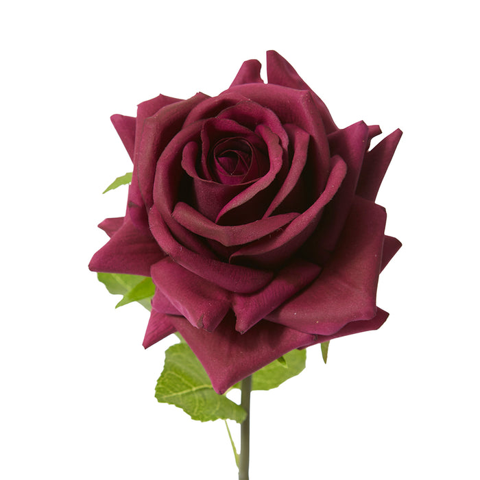 Rose Garden Short Stem (RT) Pack Of 12 - Burgundy, 45cm (H)