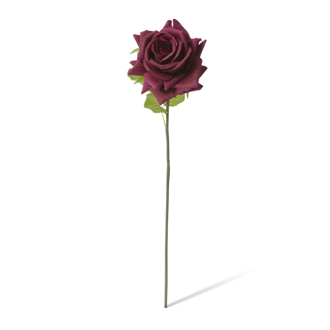 Rose Garden Short Stem (RT) Pack Of 12 - Burgundy, 45cm (H)
